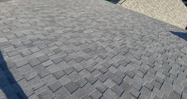 Shingle field on the steep main slope