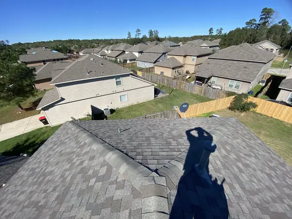 Ridge line of the finished roof above the back yard