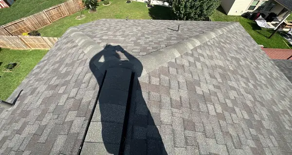 Main ridge looking across the back yard
