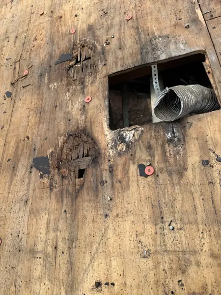 Water-damaged plywood exposed at a plumbing penetration