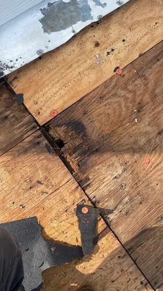 Rotted eave decking exposed after shingle removal