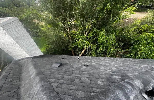 Finished charcoal shingle roof under the back-yard trees