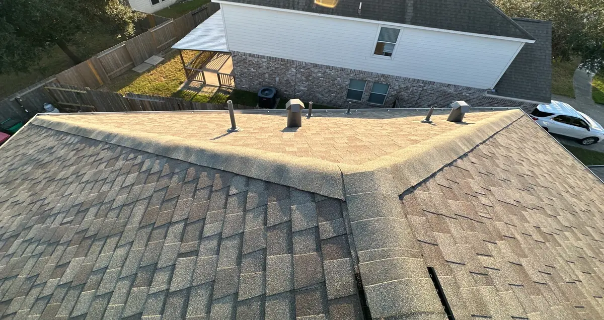 Rear hips of the new roof above the wooded lot