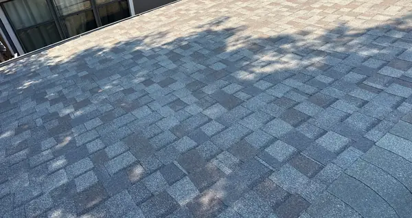Fresh laminate shingles under tree shade on a September 2025 Houston roof