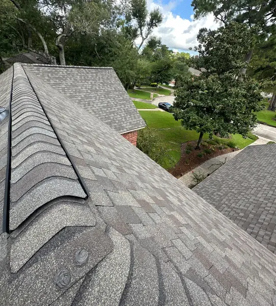 Ridge line of the finished roof under the tree canopy