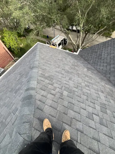 Hip ridge of a replaced roof looking over a tree-lined street
