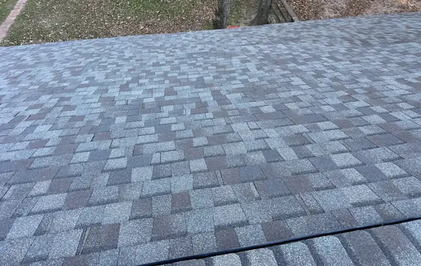 Rear slope of a replaced roof under pines in Magnolia, TX